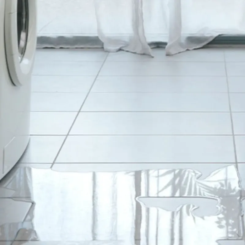 Appliance Leak Cleanup in Awendaw, SC